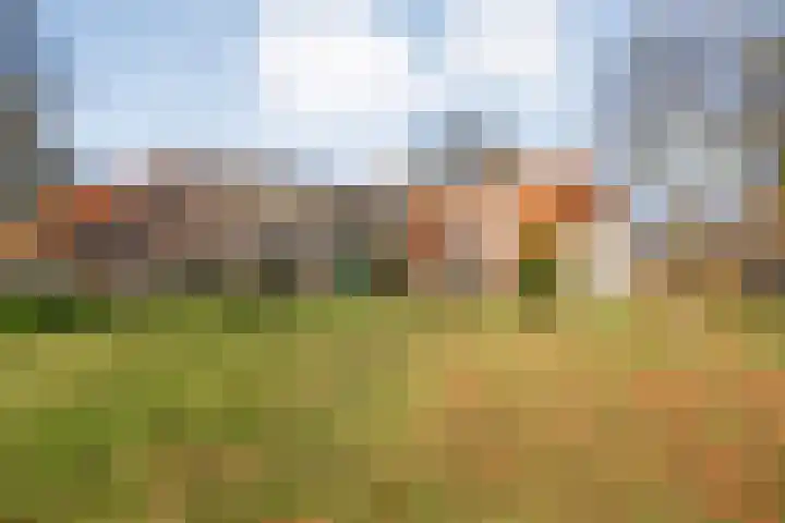 Mulderij 10 Dedemsvaart thumbnail 82