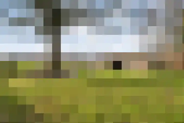 Mulderij 10 Dedemsvaart thumbnail 83