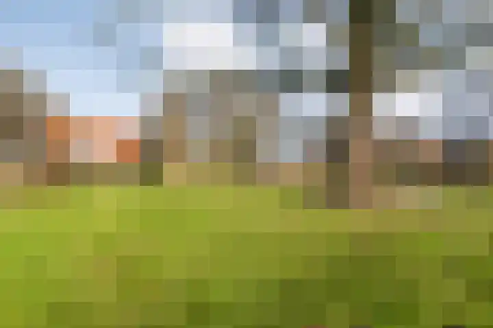 Mulderij 10 Dedemsvaart thumbnail 84
