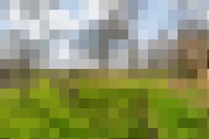 Mulderij 10 Dedemsvaart thumbnail 85