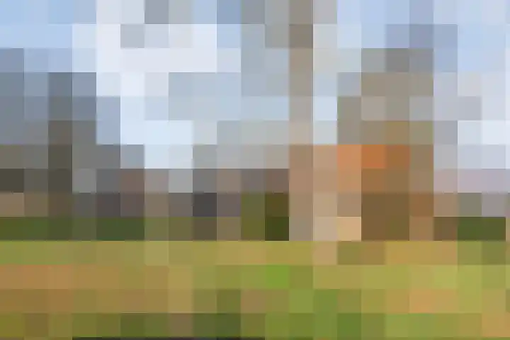Mulderij 10 Dedemsvaart thumbnail 87