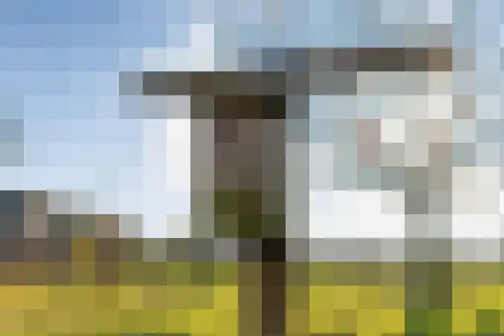 Mulderij 10 Dedemsvaart thumbnail 88