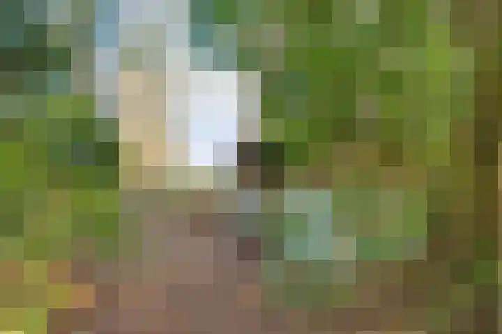 Mulderij 10 Dedemsvaart thumbnail 89
