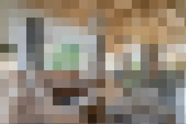 Mulderij 10 Dedemsvaart thumbnail 9