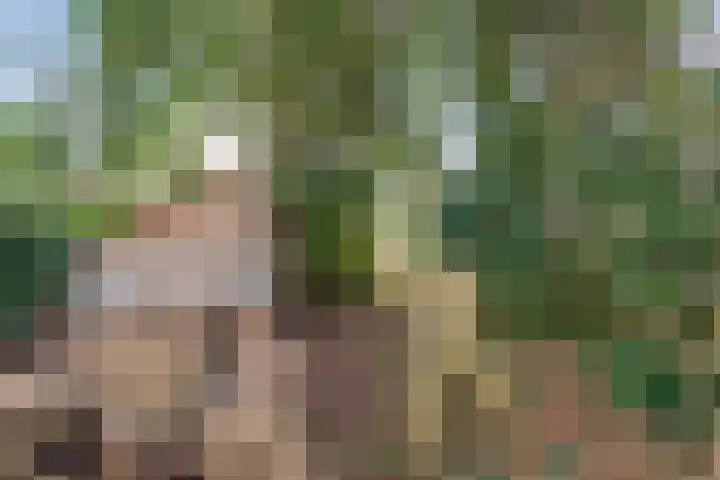 Mulderij 10 Dedemsvaart thumbnail 90