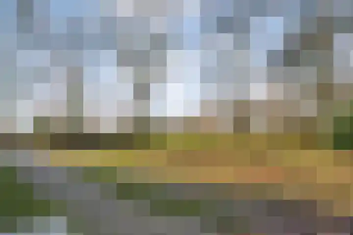 Mulderij 10 Dedemsvaart thumbnail 91