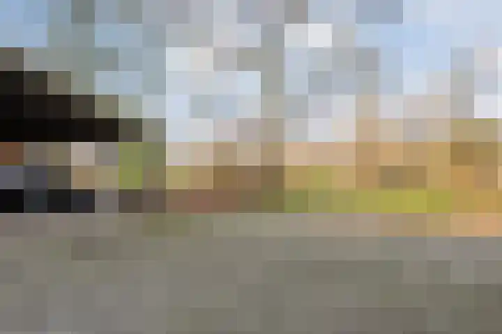 Mulderij 10 Dedemsvaart thumbnail 93