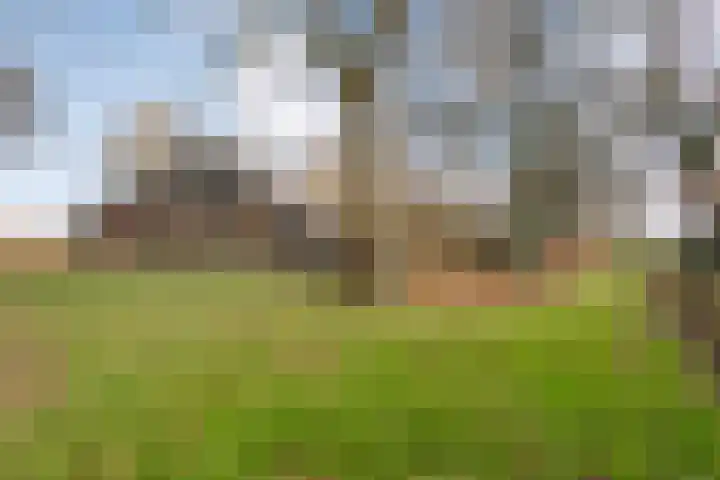 Mulderij 10 Dedemsvaart thumbnail 95
