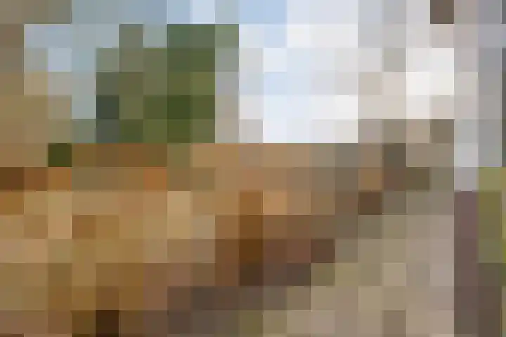 Mulderij 10 Dedemsvaart thumbnail 96