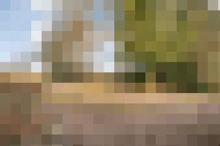 Mulderij 10 Dedemsvaart thumbnail 97