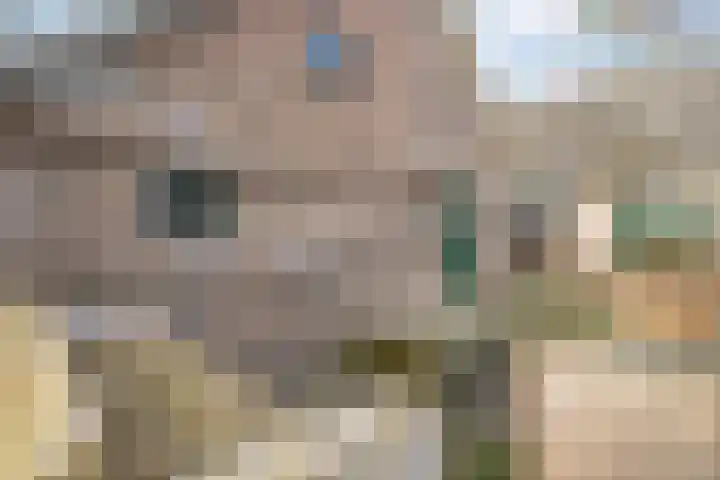 Mulderij 10 Dedemsvaart thumbnail 98