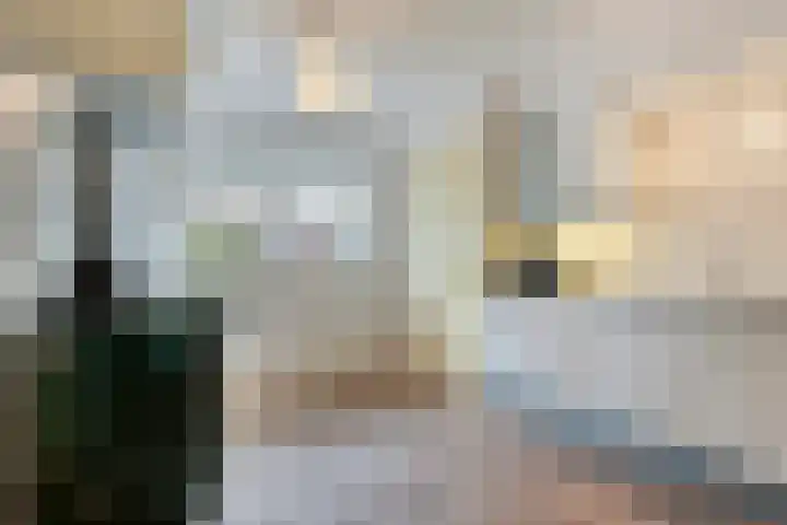 Mulderij 13 Dedemsvaart thumbnail 12