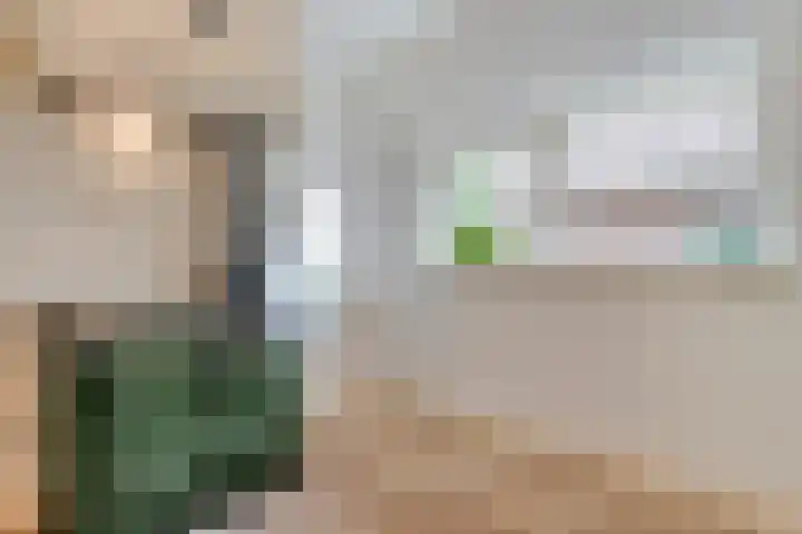 Mulderij 13 Dedemsvaart thumbnail 15