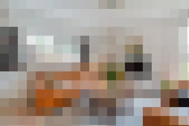 Mulderij 13 Dedemsvaart thumbnail 20