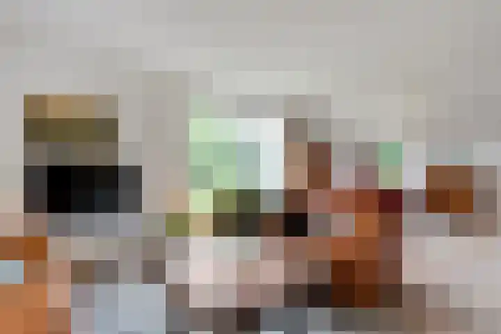 Mulderij 13 Dedemsvaart thumbnail 21
