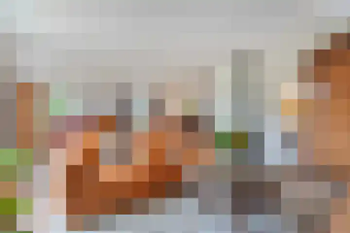 Mulderij 13 Dedemsvaart thumbnail 22