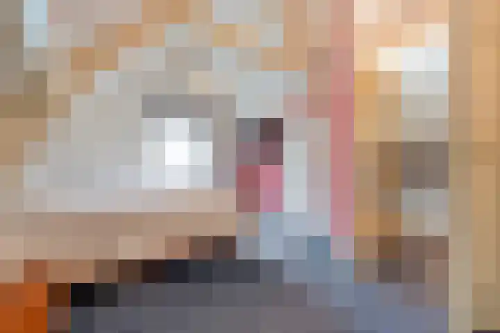 Mulderij 13 Dedemsvaart thumbnail 27