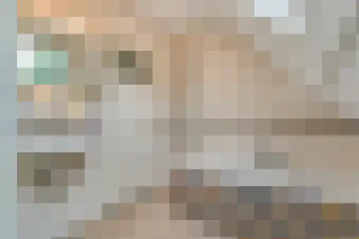 Mulderij 13 Dedemsvaart thumbnail 31