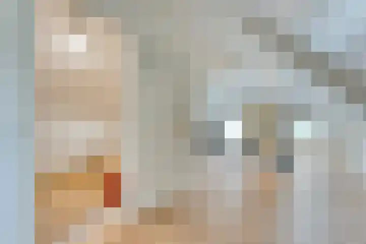 Mulderij 13 Dedemsvaart thumbnail 33