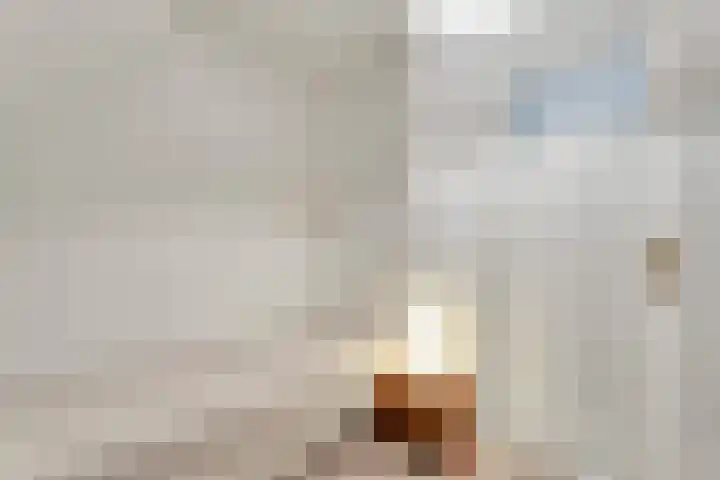 Mulderij 13 Dedemsvaart thumbnail 35
