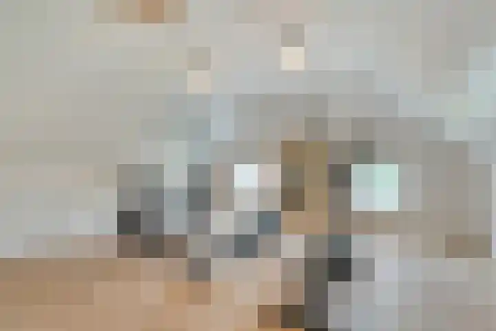 Mulderij 13 Dedemsvaart thumbnail 36