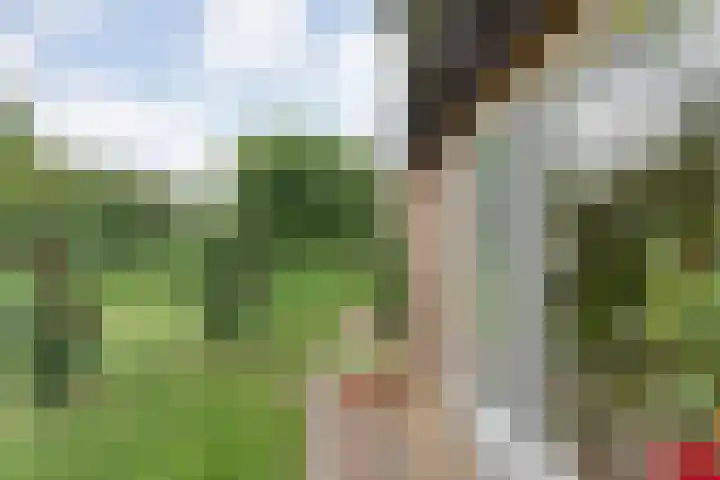 Mulderij 13 Dedemsvaart thumbnail 38