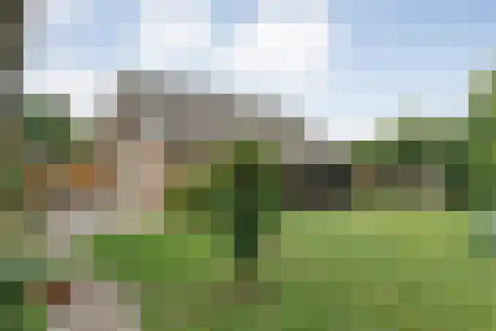 Mulderij 13 Dedemsvaart thumbnail 39