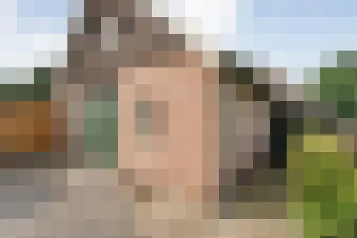Mulderij 13 Dedemsvaart thumbnail 41