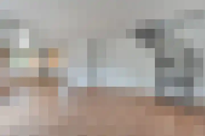 Mulderij 13 Dedemsvaart thumbnail 47