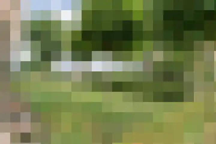 Mulderij 13 Dedemsvaart thumbnail 5
