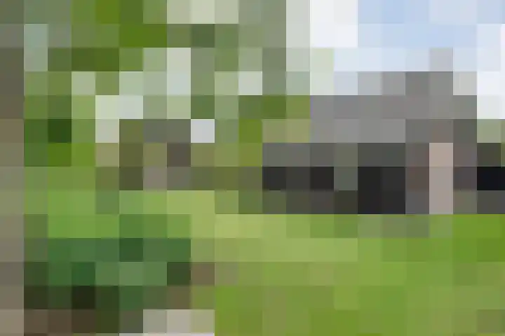 Mulderij 13 Dedemsvaart thumbnail 52
