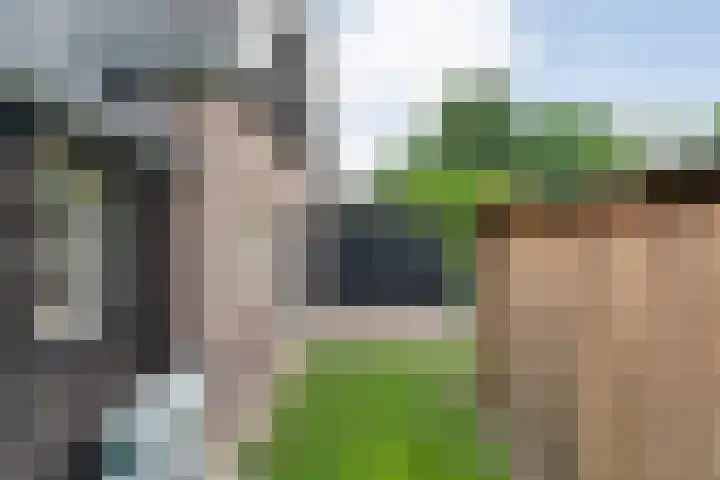 Mulderij 13 Dedemsvaart thumbnail 53