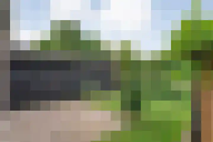 Mulderij 13 Dedemsvaart thumbnail 54