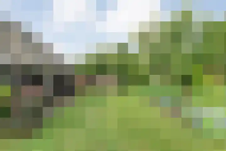 Mulderij 13 Dedemsvaart thumbnail 55
