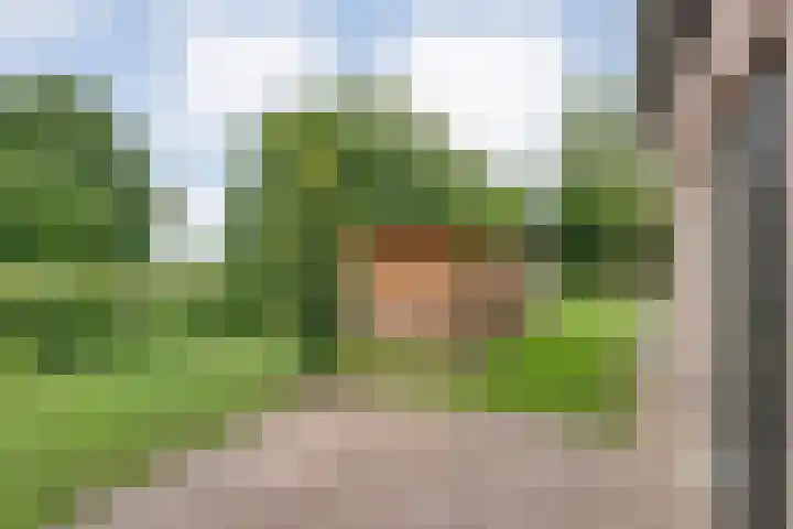 Mulderij 13 Dedemsvaart thumbnail 56