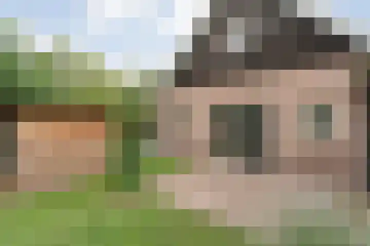 Mulderij 13 Dedemsvaart thumbnail 57