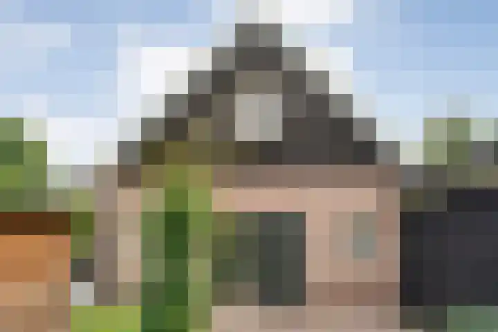 Mulderij 13 Dedemsvaart thumbnail 58