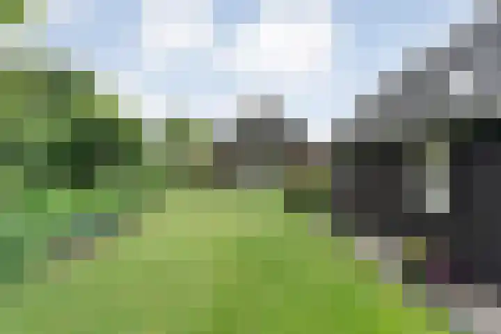 Mulderij 13 Dedemsvaart thumbnail 59