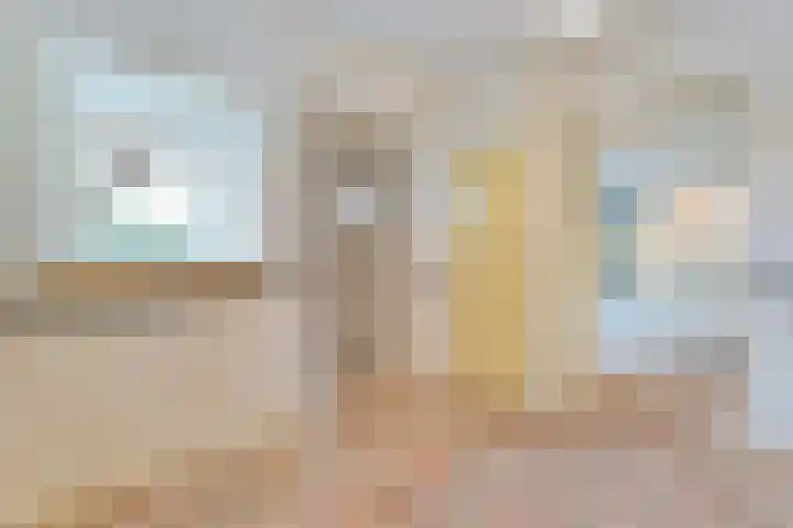 Mulderij 13 Dedemsvaart thumbnail 6