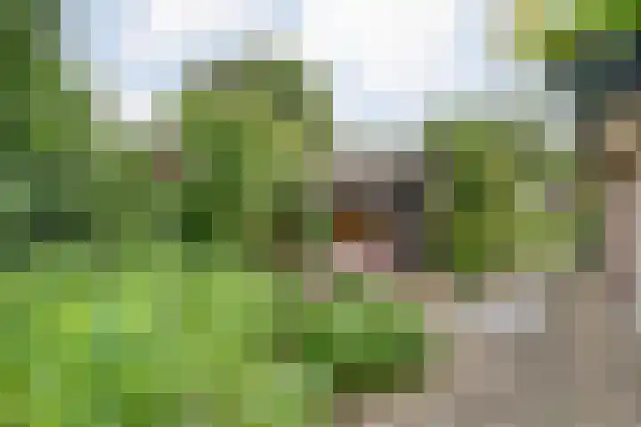 Mulderij 13 Dedemsvaart thumbnail 61