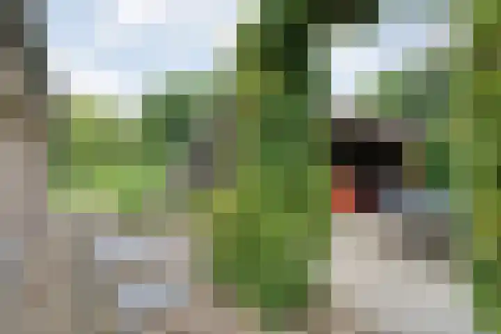 Mulderij 13 Dedemsvaart thumbnail 62
