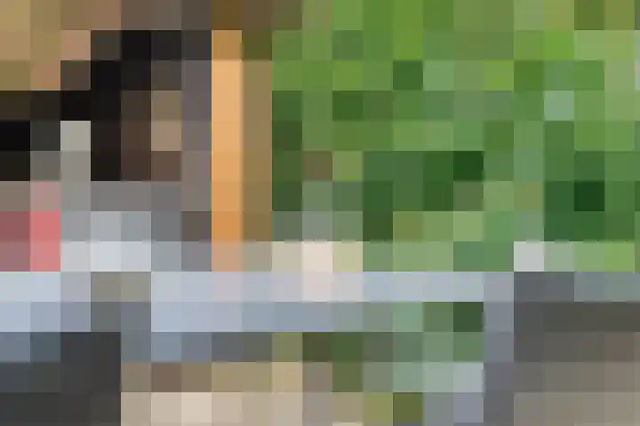 Mulderij 13 Dedemsvaart thumbnail 64
