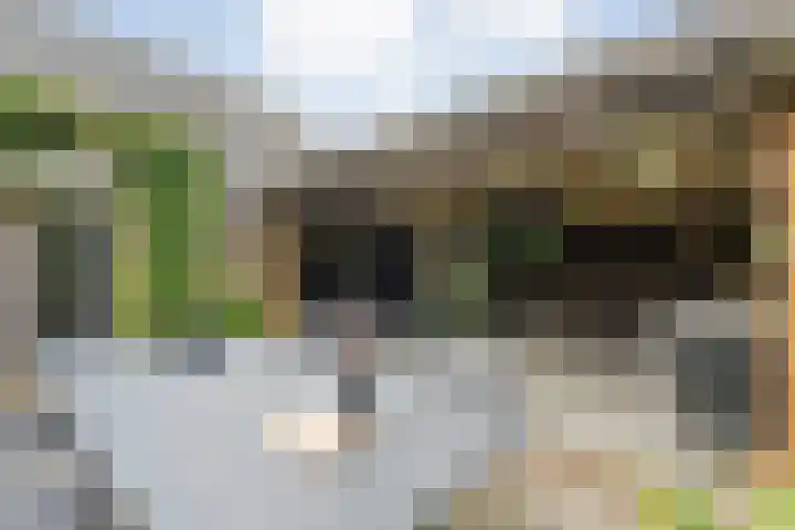 Mulderij 13 Dedemsvaart thumbnail 65