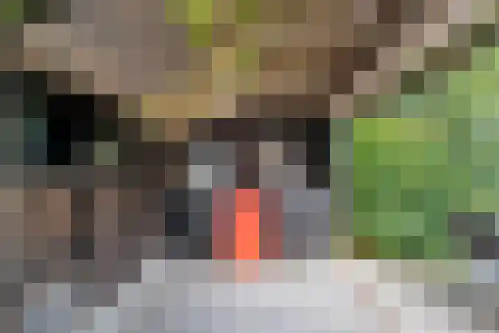 Mulderij 13 Dedemsvaart thumbnail 66