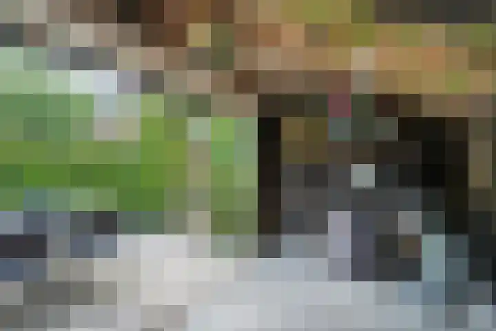 Mulderij 13 Dedemsvaart thumbnail 67