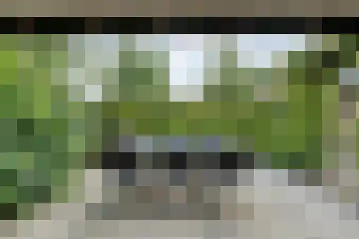 Mulderij 13 Dedemsvaart thumbnail 68