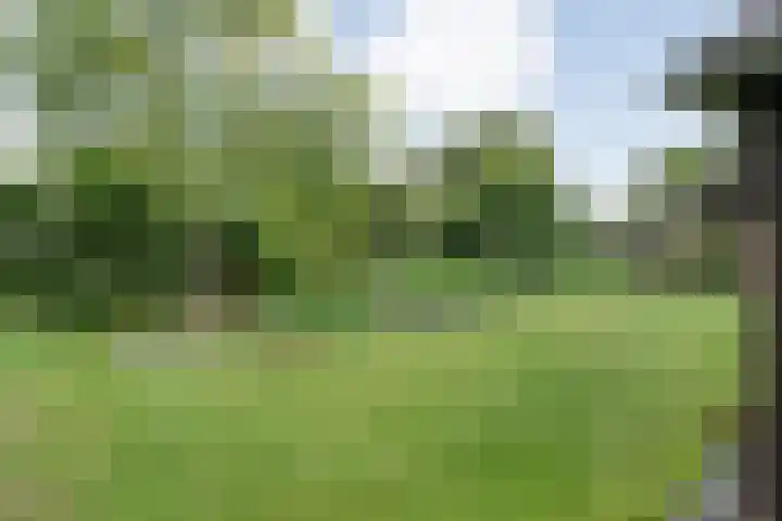 Mulderij 13 Dedemsvaart thumbnail 70