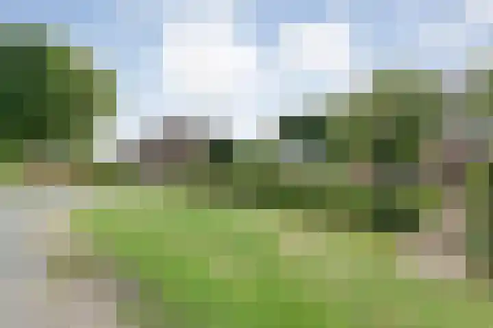 Mulderij 13 Dedemsvaart thumbnail 72