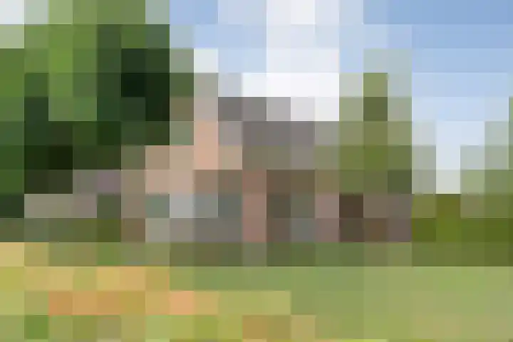 Mulderij 13 Dedemsvaart thumbnail 73