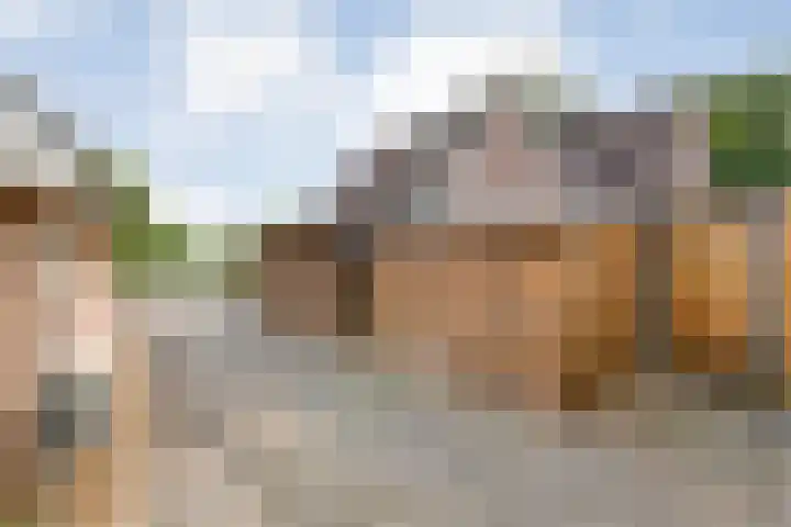Mulderij 13 Dedemsvaart thumbnail 74